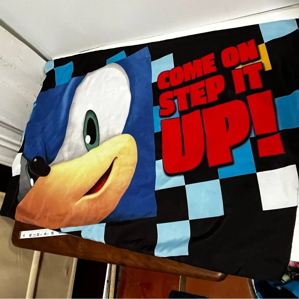 Sonic and Friends pillow case one only